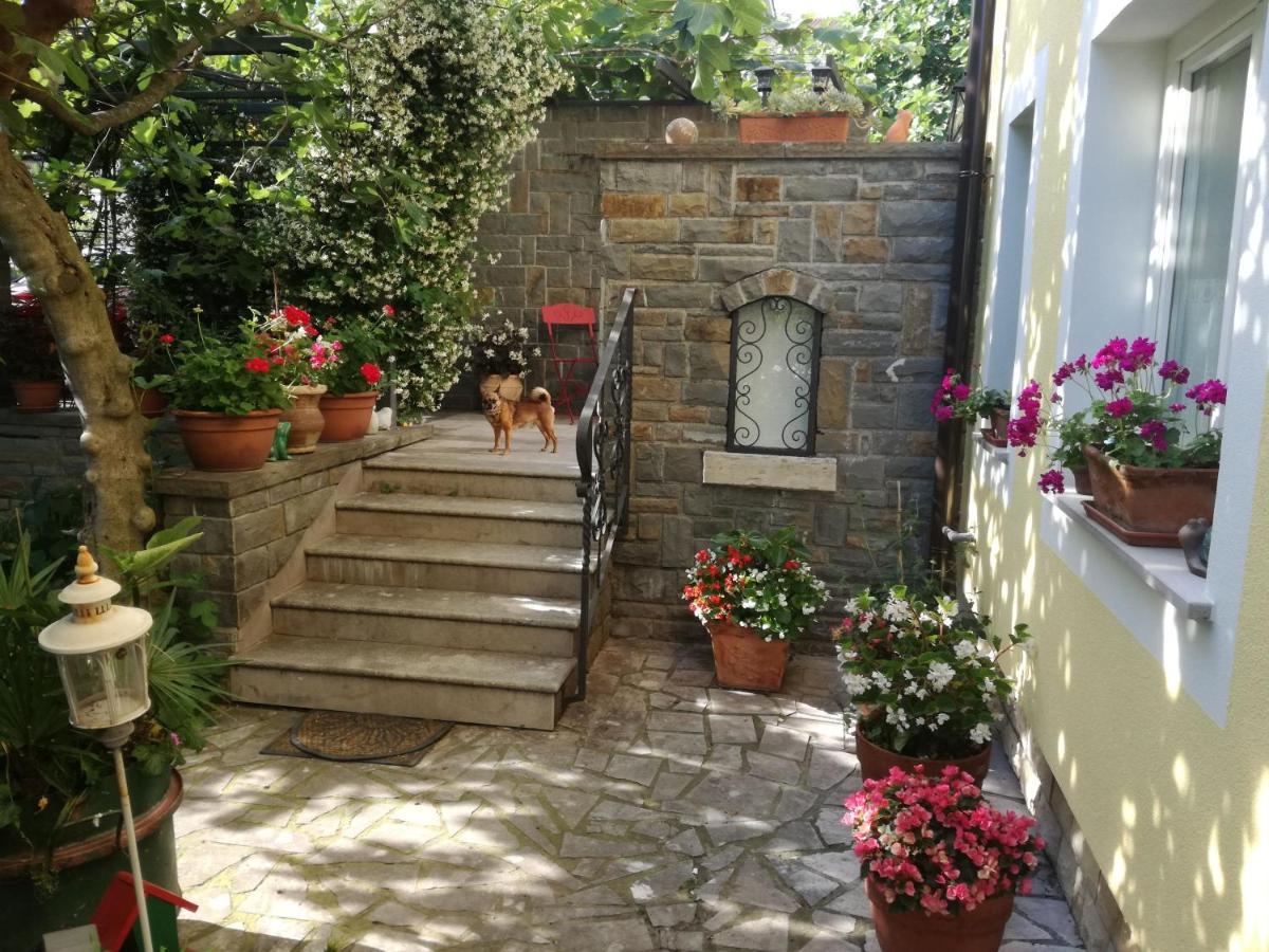 Guesthouse Leasol Lucija Esterno foto