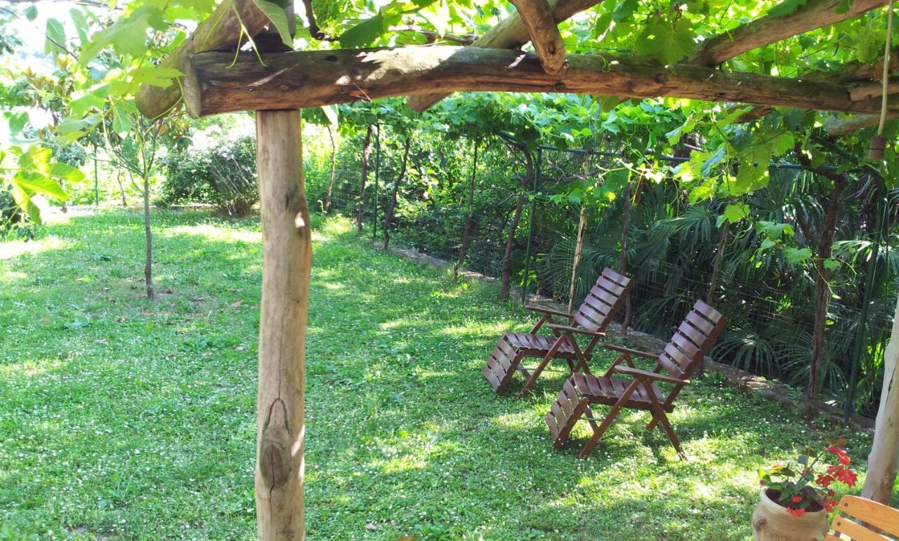 Guesthouse Leasol Lucija Esterno foto